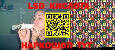 СК Заводоуковск